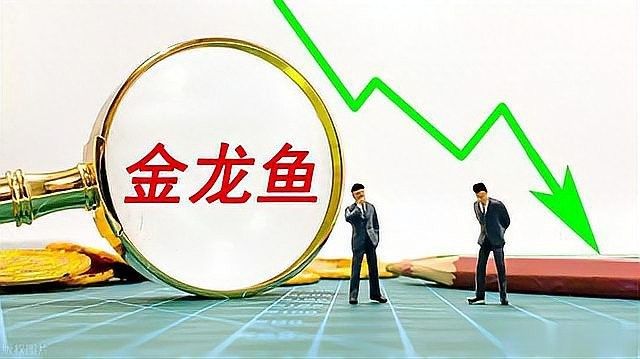 金龍魚未來有增持計劃嗎（金龍魚控股股東豐益香港已第三次自愿延長限售股份鎖定期至2026年10月16日）