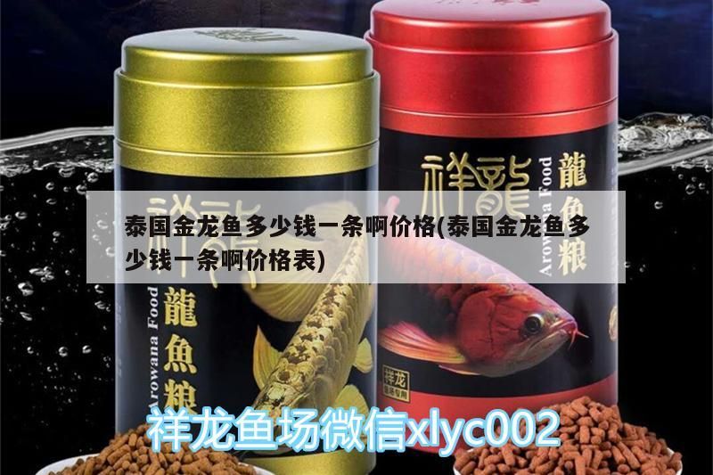 泰國金龍魚多少錢一條啊價格(泰國金龍魚多少錢一條啊價格表)（泰國金龍魚多少錢一條）