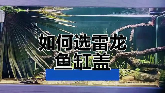 雷龍魚缸蓋哪個品牌最好？（47.53,鴻燦佳卓魚缸防跳網魚缸蓋哪個品牌最好）