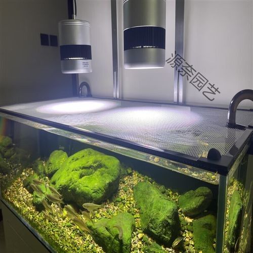 雷龍魚缸蓋哪個品牌最好？（47.53,鴻燦佳卓魚缸防跳網魚缸蓋哪個品牌最好）