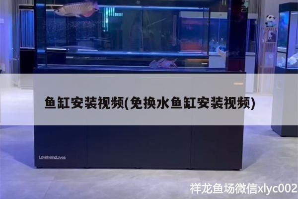 魚缸安裝視頻(免換水魚缸安裝視頻)