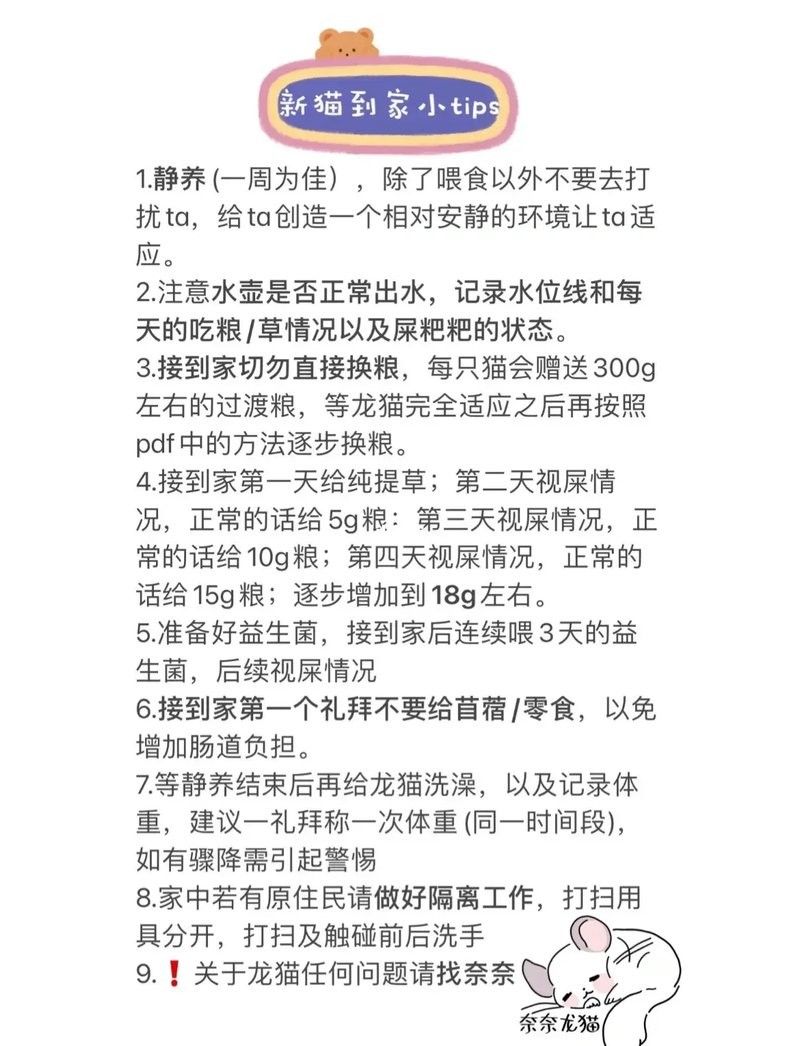 龍貓換糧后多久適應