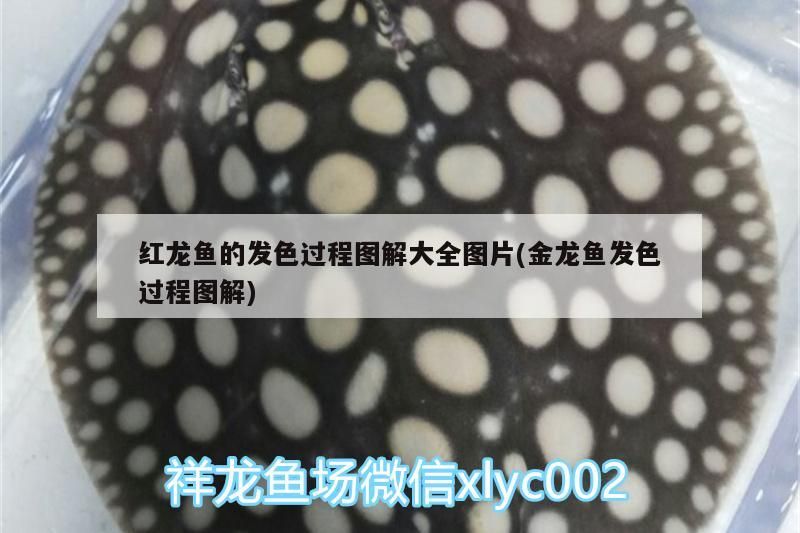 上山打虎（上山打虎的故事） 上山打虎（上山打虎的故事） 觀賞魚百科 第2張