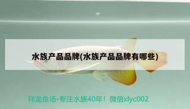 水族產品品牌(水族產品品牌有哪些)