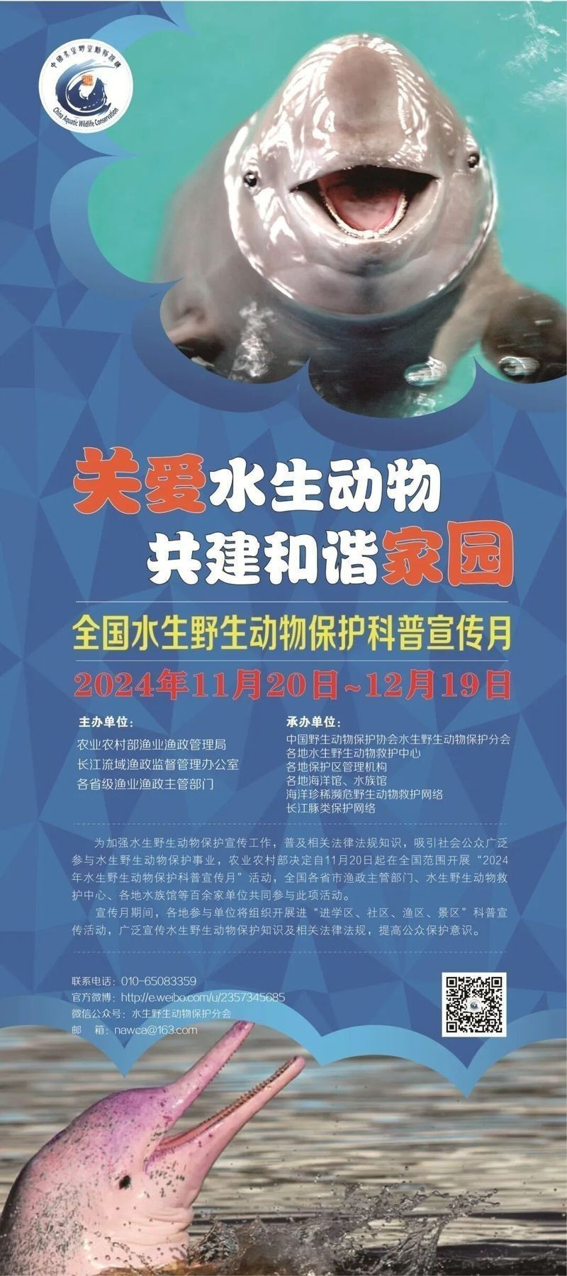 龍魚回收需要哪些手續（魚回收涉及的手續和流程可能因地區、國家以及回收機構有所不同）