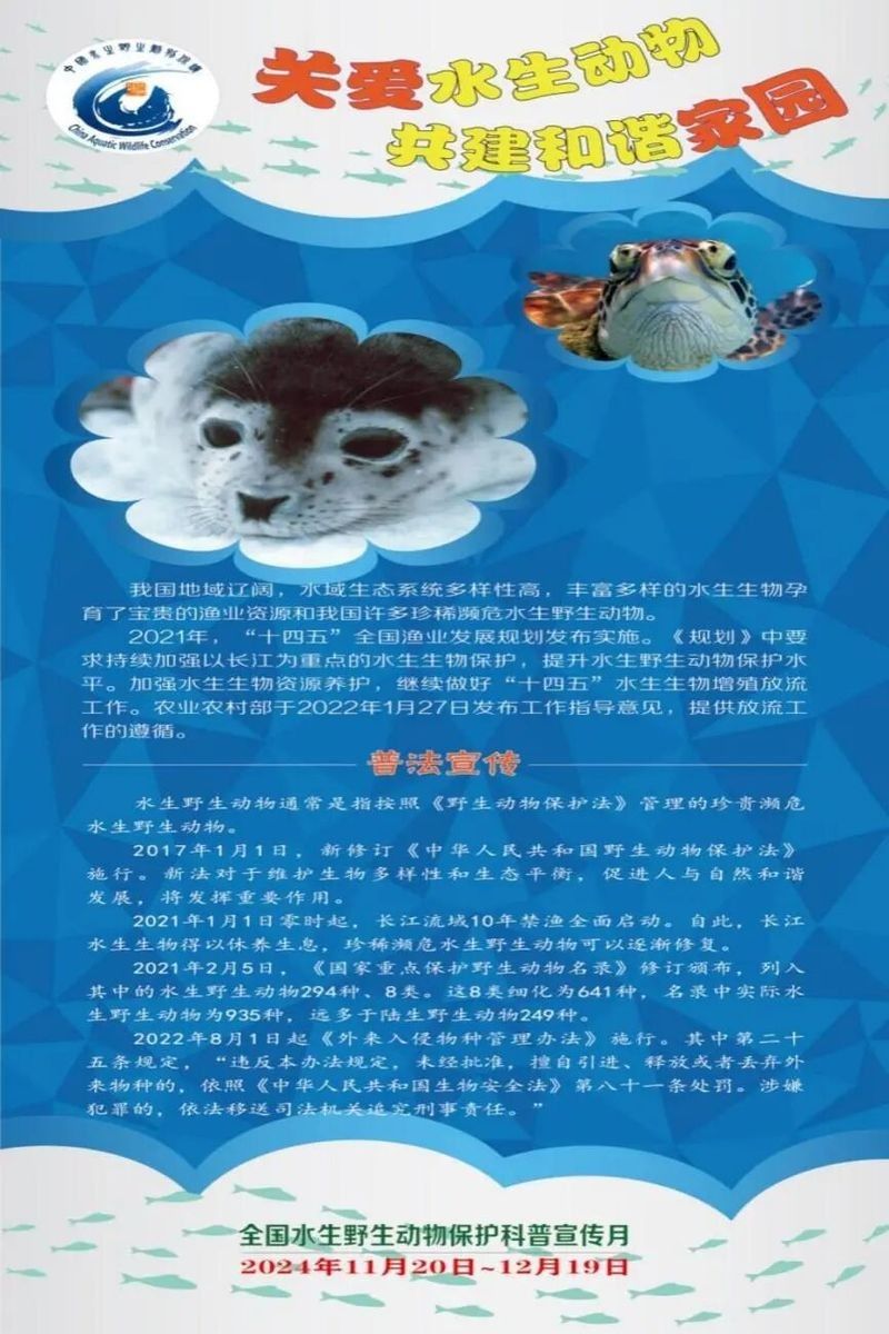 龍魚回收需要哪些手續（魚回收涉及的手續和流程可能因地區、國家以及回收機構有所不同）
