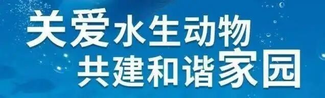 龍魚回收需要哪些手續（魚回收涉及的手續和流程可能因地區、國家以及回收機構有所不同）