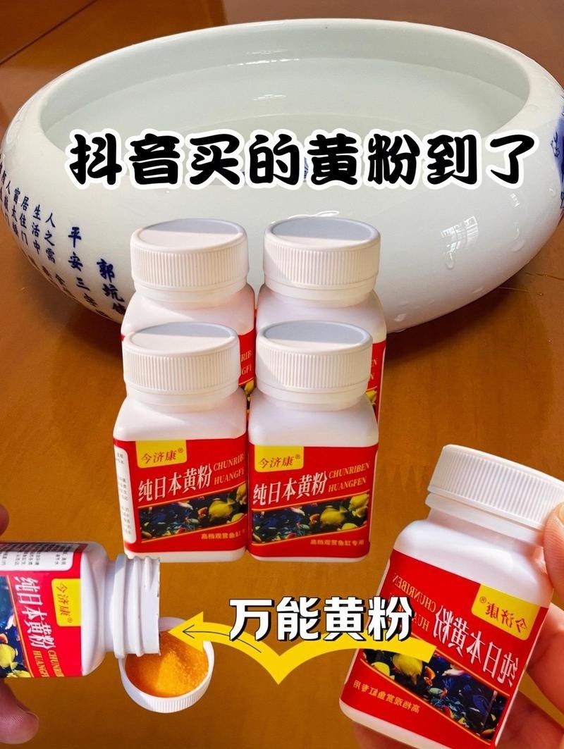 如何預(yù)防龍魚和魟魚的疾病（如何預(yù)防龍魚和魟魚患上疾病）