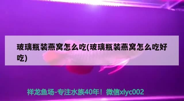 紅龍魚(yú)什么時(shí)候上側(cè)燈（紅龍魚(yú)多大上側(cè)燈）（紅龍魚(yú)什么時(shí)候上側(cè)燈好，紅龍魚(yú)缸內(nèi)燈光的使用方法）