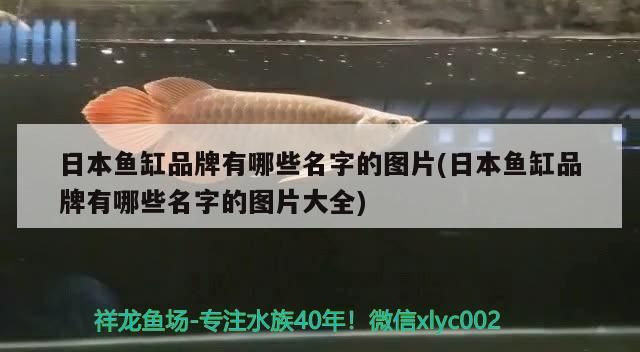 日本魚(yú)缸品牌有哪些名字的圖片(日本魚(yú)缸品牌有哪些名字的圖片大全)