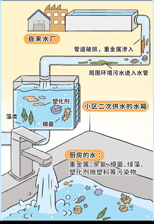 如何預防水質老化?(凈水器用久了不如自來水中關村在線水質老化的原因及處理措施) 龍魚百科 第5張 如何預防水質老化?(凈水器用久了不如自來水中關村在線水質老化的原因及處理措施) 如何預防水質老化?(凈水器用久了不如自來水中關村在線水質老化的原因及處理措施) 龍魚百科 第5張