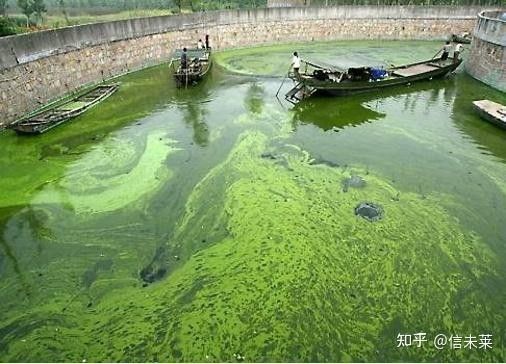 如何預防水質老化？（凈水器用久了不如自來水中關村在線水質老化的原因及處理措施） 如何預防水質老化？（凈水器用久了不如自來水中關村在線水質老化的原因及處理措施） 龍魚百科 第7張