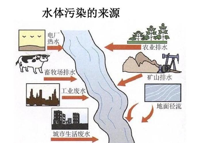如何預防水質老化?(凈水器用久了不如自來水中關村在線水質老化的原因及處理措施) 龍魚百科 第3張 如何預防水質老化?(凈水器用久了不如自來水中關村在線水質老化的原因及處理措施) 如何預防水質老化?(凈水器用久了不如自來水中關村在線水質老化的原因及處理措施) 龍魚百科 第3張