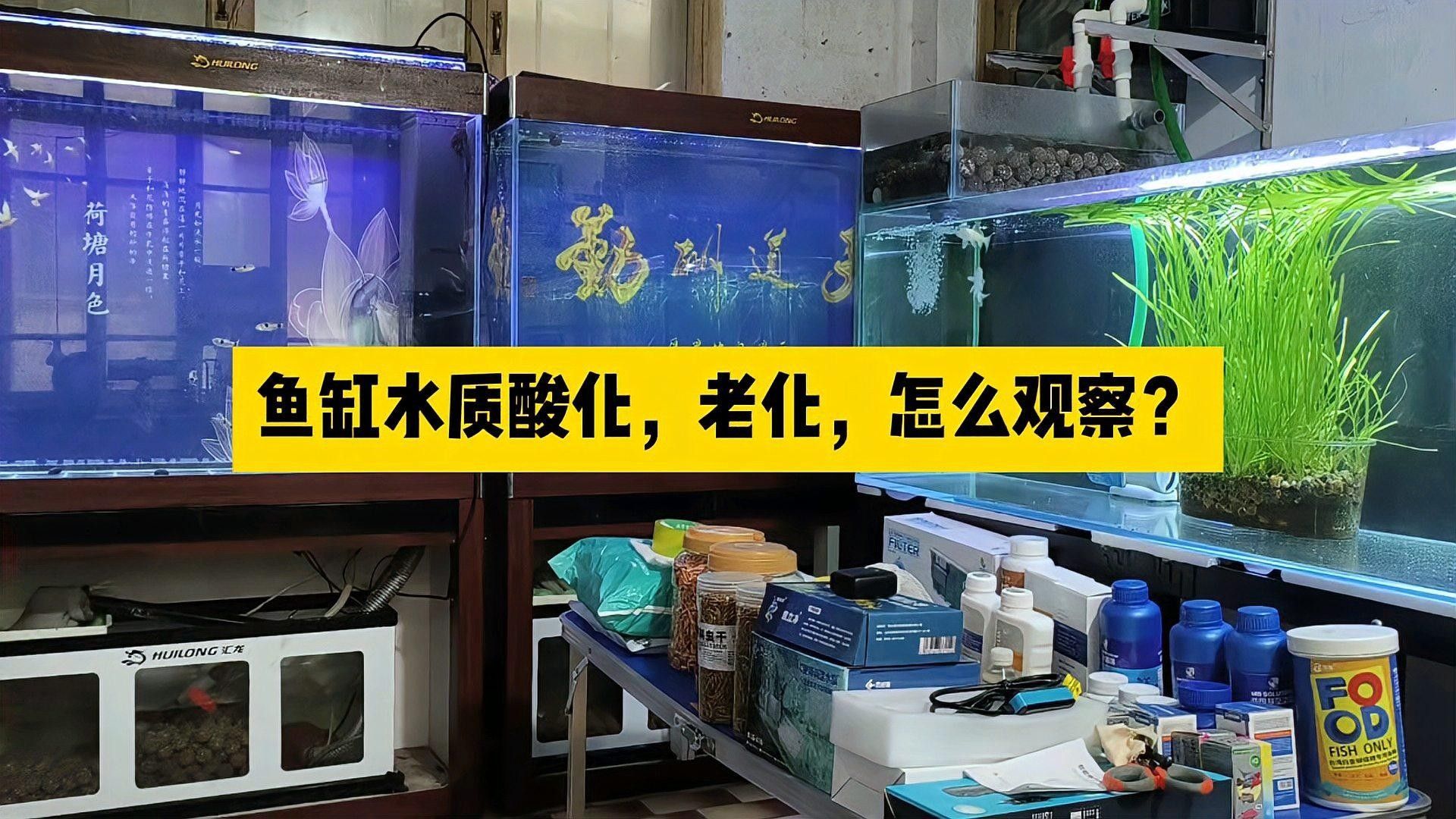 如何預防水質老化？（凈水器用久了不如自來水中關村在線水質老化的原因及處理措施） 如何預防水質老化？（凈水器用久了不如自來水中關村在線水質老化的原因及處理措施） 龍魚百科 第9張