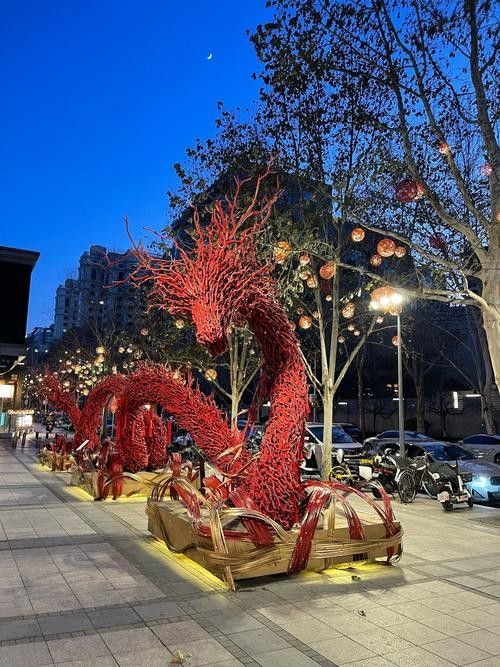 紅龍市場有哪些特色商品（羅馬尼亞布加勒斯特華人聚集地紅龍市場的營業時間）