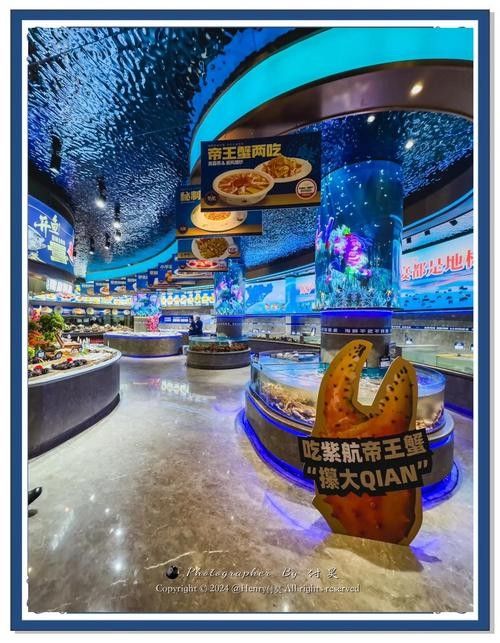 哪家龍魚店口碑最好（<strong><mark>北京</mark></strong>哪家龍魚店口碑最好）