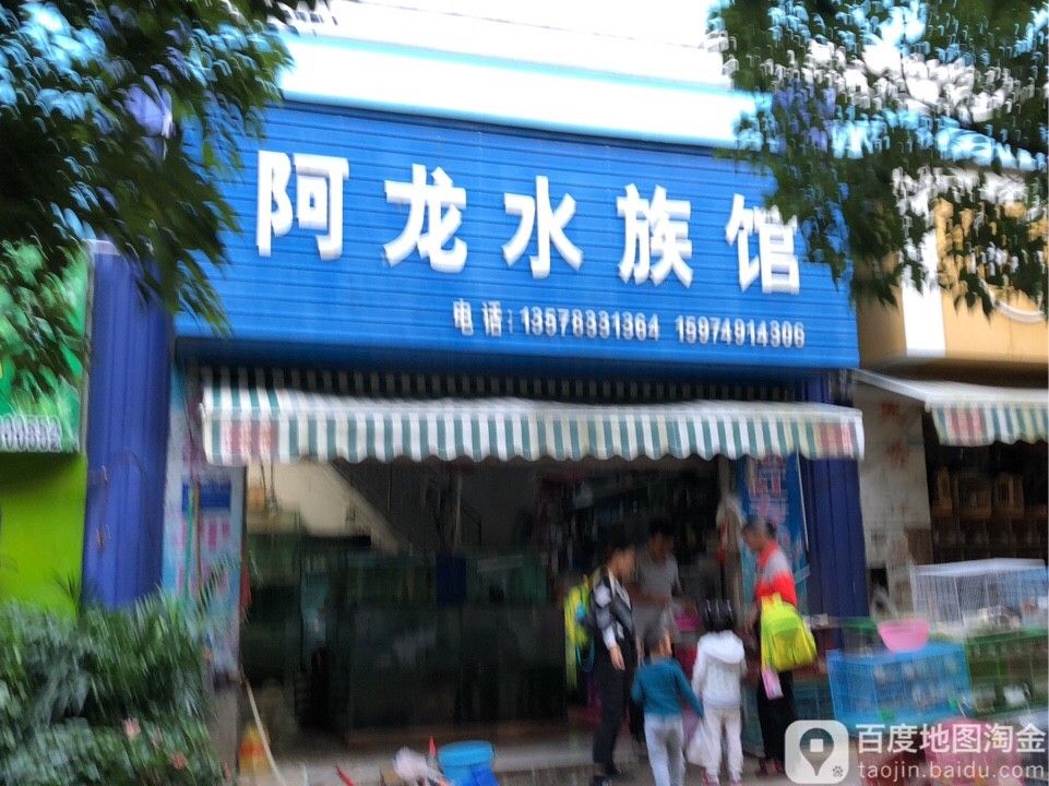 臨滄哪個水族館龍魚好？祥龍魚場龍魚（臨滄市祥龍魚場）