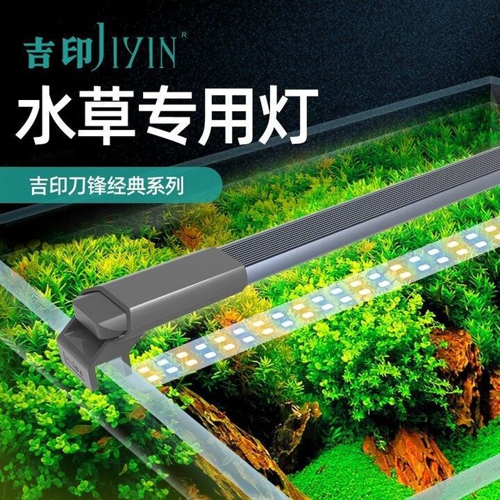 馬印神燈和吉印燈哪個更好（馬印神燈和吉印燈哪個好） 馬印神燈和吉印燈哪個更好（馬印神燈和吉印燈哪個好） 龍魚百科 第6張