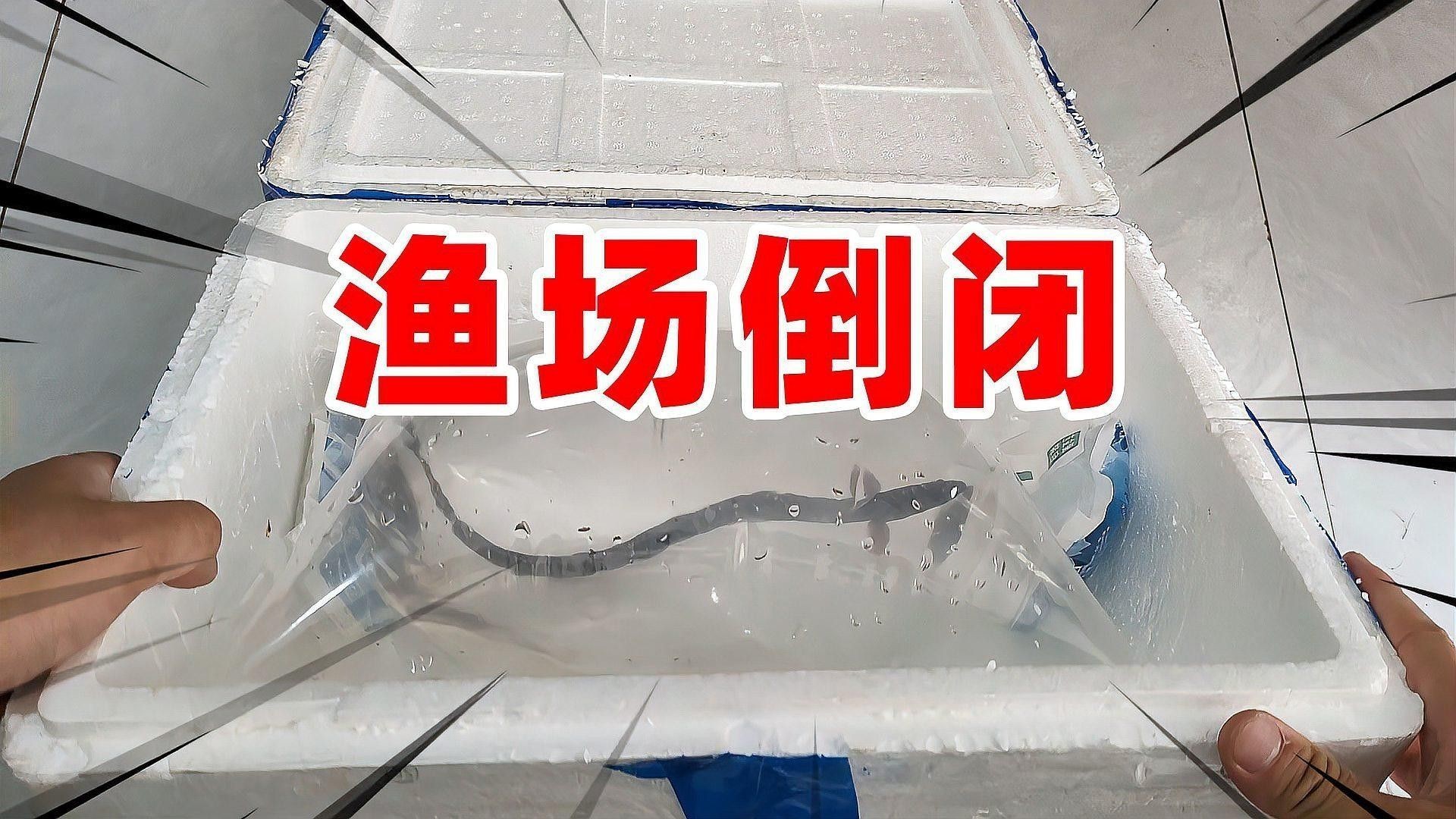 這兩個漁場哪個更可靠？（中國三大漁場排名快樂生活,全球漁倉探秘走進四大漁場）