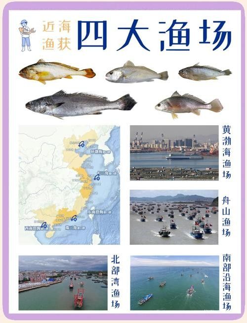 這兩個漁場哪個更可靠？（中國三大漁場排名快樂生活,全球漁倉探秘走進四大漁場）