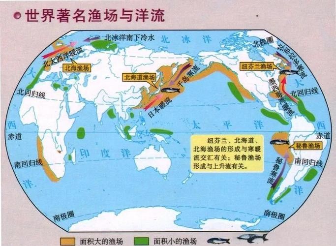 這兩個漁場哪個更可靠？（中國三大漁場排名快樂生活,全球漁倉探秘走進四大漁場）