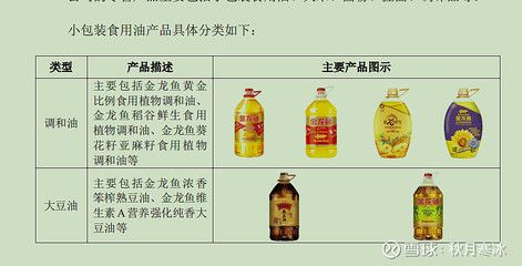 龍魚缸內(nèi)設(shè)備配置指南（-龍魚缸內(nèi)設(shè)備配置指南）