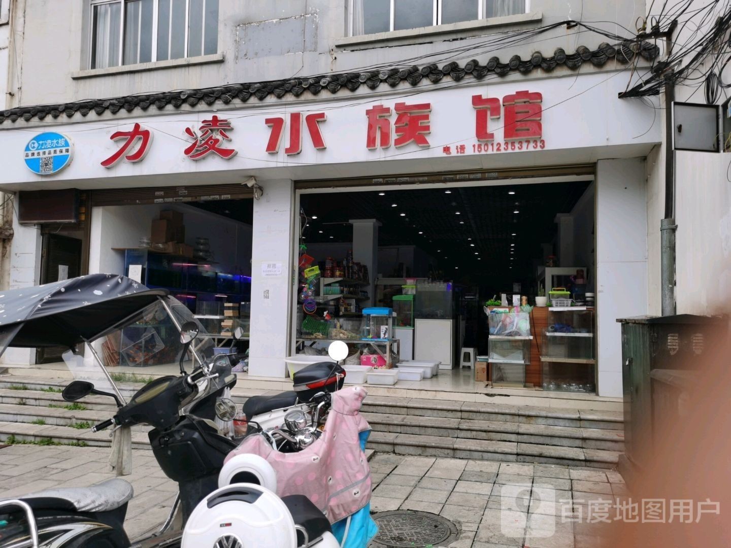 筠連哪個(gè)水族館龍魚好？祥龍魚場(chǎng)龍魚（天津水族批發(fā)市場(chǎng)|祥龍魚場(chǎng)聊城水族館） 筠連哪個(gè)水族館龍魚好？祥龍魚場(chǎng)龍魚（天津水族批發(fā)市場(chǎng)|祥龍魚場(chǎng)聊城水族館） 龍魚百科 第7張