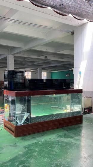 博士龍魚缸有哪些獨特功能？（博士龍魚缸使用過程詳細介紹，博士龍魚缸的獨特功能） 博士龍魚缸有哪些獨特功能？（博士龍魚缸使用過程詳細介紹，博士龍魚缸的獨特功能） 龍魚百科 第6張