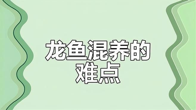 龍魚混養多久會穩定 龍魚混養多久會穩定 龍魚百科 第1張
