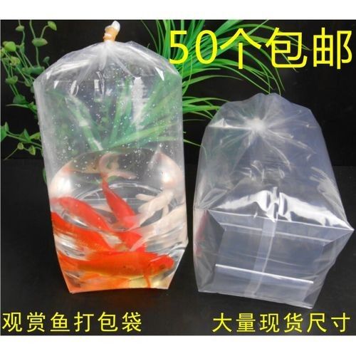 如何判斷龍魚內(nèi)臟外露是否嚴(yán)重，如何判斷龍魚是否脫肛