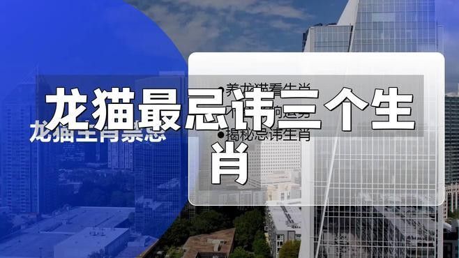 哪些貓適合與龍貓共處