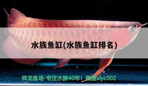 水族魚缸(水族魚缸排名) 水族魚缸(水族魚缸排名) 觀賞魚百科