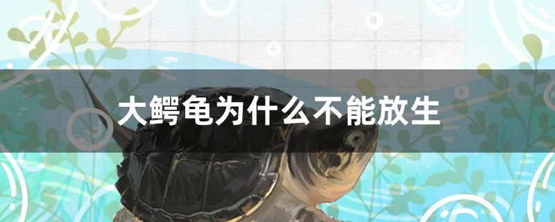 漢霸魚缸公司簡介圖片（漢霸魚缸官網）