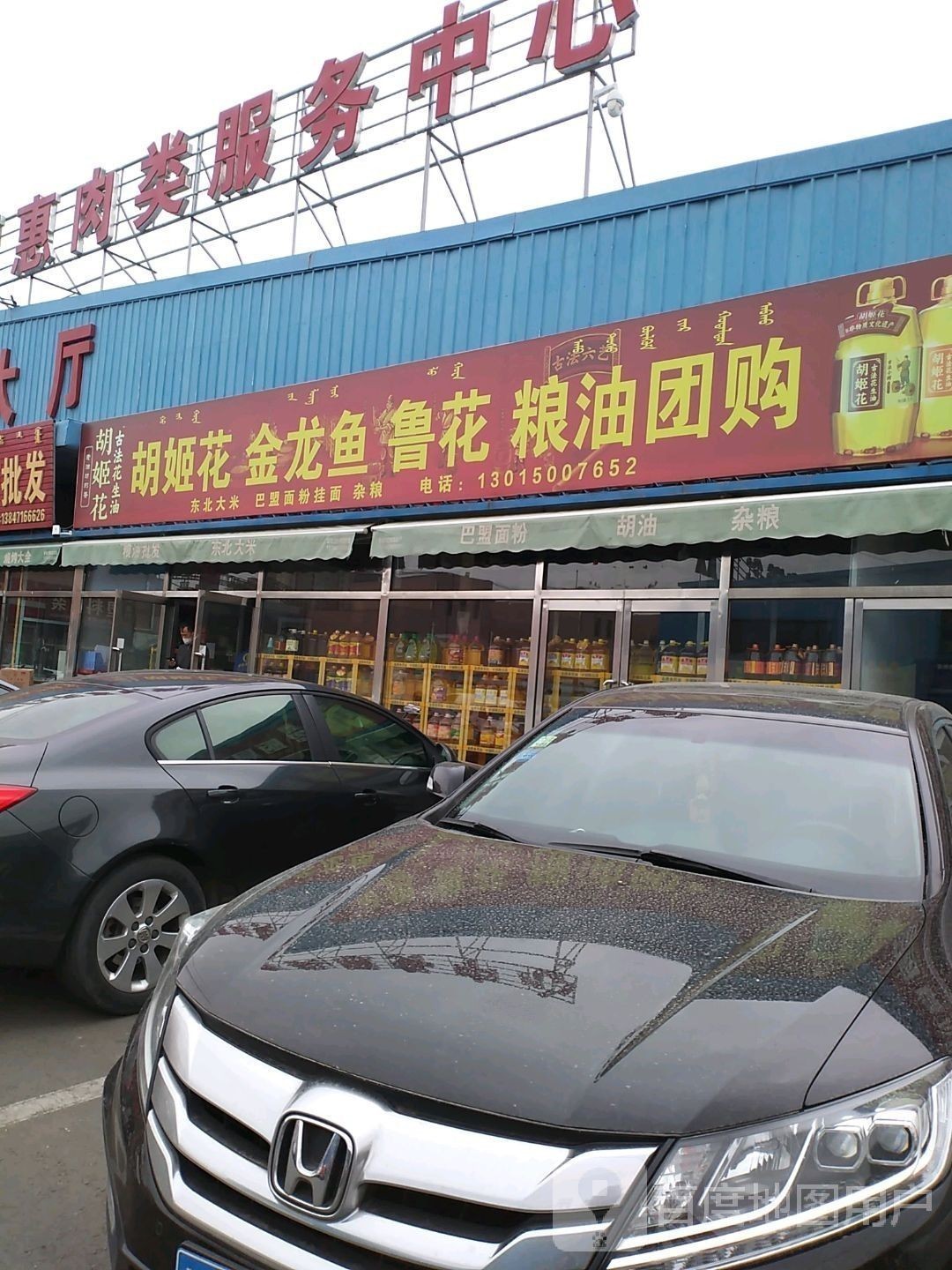 海口還有哪些金龍魚批發市場？