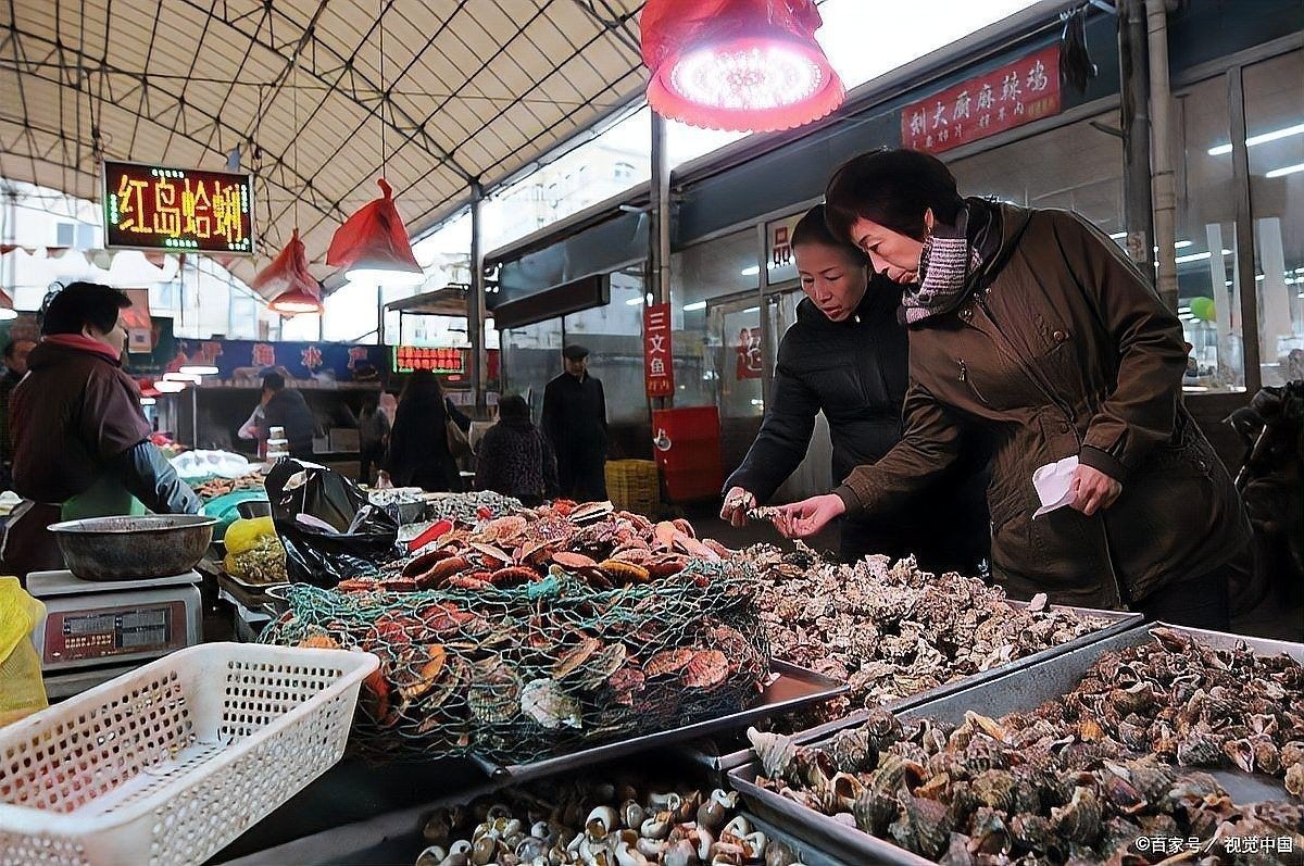 海口還有哪些金龍魚批發市場？