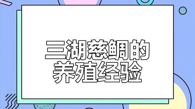 混養(yǎng)時(shí)如何減少領(lǐng)地爭(zhēng)奪