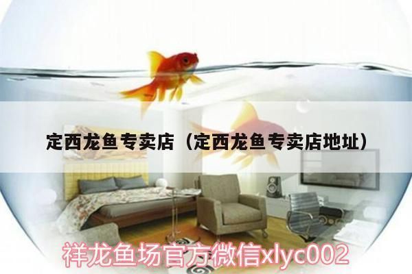 <strong><mark>雅安</mark></strong>龍魚專賣店：<strong><mark>雅安</mark></strong>哪個市場有賣龍魚的地方
