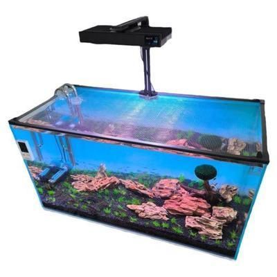 雅安龍魚專賣店：雅安哪個市場有賣龍魚的地方