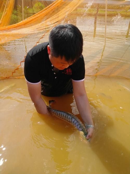 龍魚世家水族館在哪里