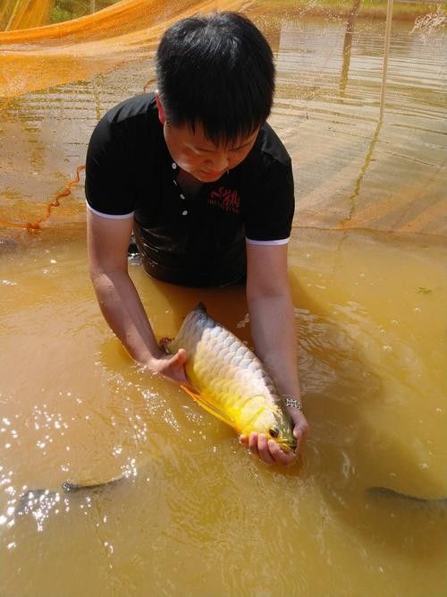 龍魚世家水族館在哪里