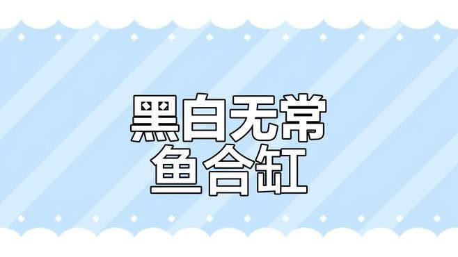 黑魚和龍魚混養會有什么后果（黑魚和龍魚混養在水族箱中可能會帶來一些負面后果）