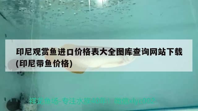 印尼觀賞魚進口價格表大全圖庫查詢網站下載(印尼帶魚價格)