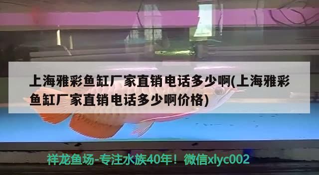 魚缸用增氧泵價格是多少:魚缸增氧機-xtrac增氧機-xtrac增氧機 上海雅彩魚缸廠家直銷電話多少啊(上海雅彩魚缸廠家直銷電話多少啊價格) 觀賞魚百科 上海雅彩魚缸廠家直銷電話多少啊(上海雅彩魚缸廠家直銷電話多少啊價格) 上海雅彩魚缸廠家直銷電話多少啊(上海雅彩魚缸廠家直銷電話多少啊價格) 觀賞魚百科