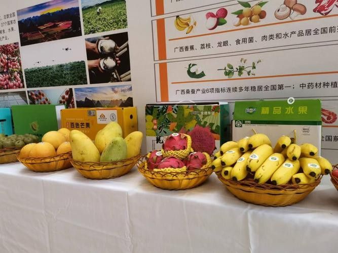 金龍魚在廣西的電商銷售額如何？