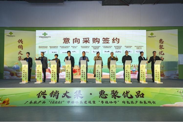 金龍魚在廣西的電商銷售額如何？