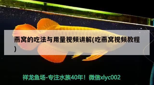 燕窩的吃法與用量視頻講解(吃燕窩視頻教程)