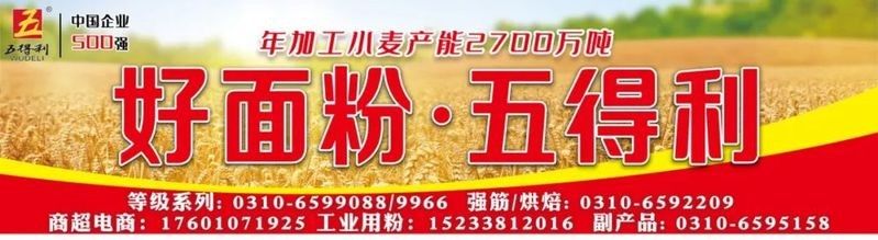 金龍魚在國內外市場的表現 金龍魚在國內外市場的表現 龍魚百科 第14張