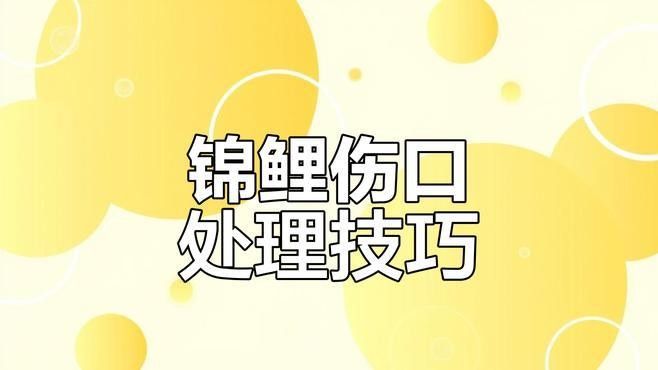 拔鱗后多久可以喂食（拔鱗后多久可以喂食，拔鱗后的處理方式） 拔鱗后多久可以喂食（拔鱗后多久可以喂食，拔鱗后的處理方式） 龍魚百科 第2張
