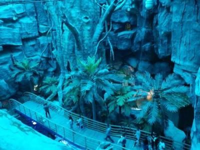 長(zhǎng)春水族館：長(zhǎng)春旅游攻略之長(zhǎng)春水族館
