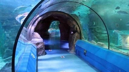長(zhǎng)春水族館：長(zhǎng)春旅游攻略之長(zhǎng)春水族館